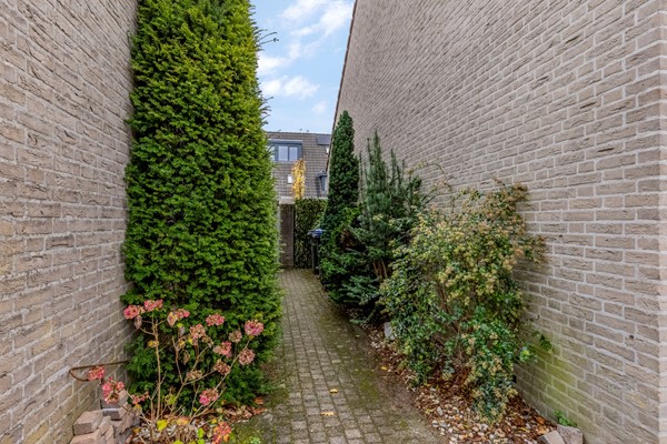 Bieslook 63 Oisterwijk-48.jpg